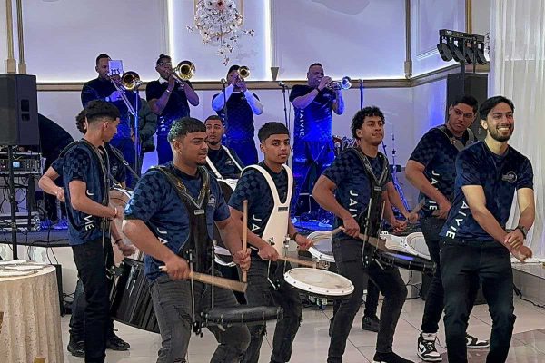 inside-drum-perform